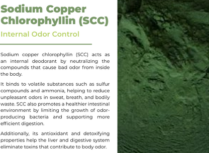 Premium Natural Deodorant for Men & Women Set