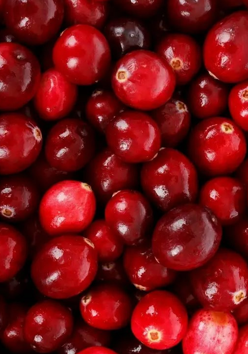 Premium Natural Whole-Body Deodorant for Women